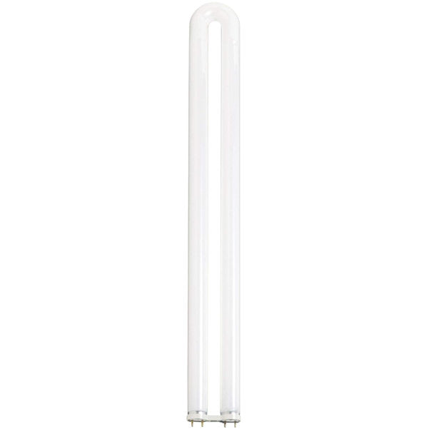Neutral White