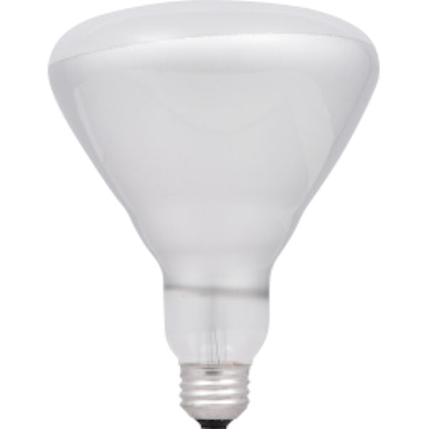 Sylvania 15292 65 Watt, 130V Flood Light Bulb, Case of 24 -