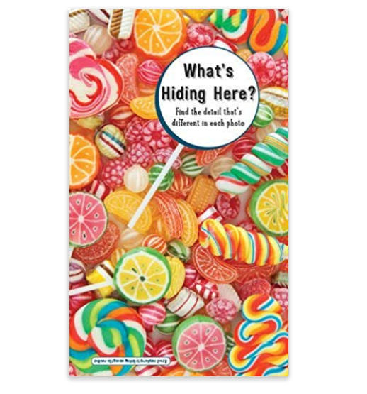 What's Hiding Here? Puzzle Book -