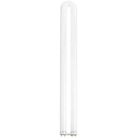Neutral White