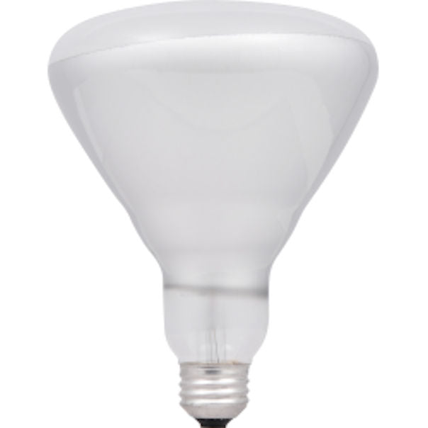 Sylvania 15292 65 Watt, 130V Flood Light Bulb, Case of 24 -