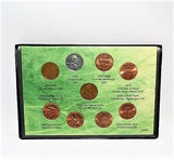American Coin Treasures Complete Lincoln Penny Design Coin Sleeve -
