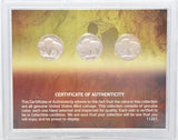 American Coin Treasure 12 Decades of United States 1920S Nickels -