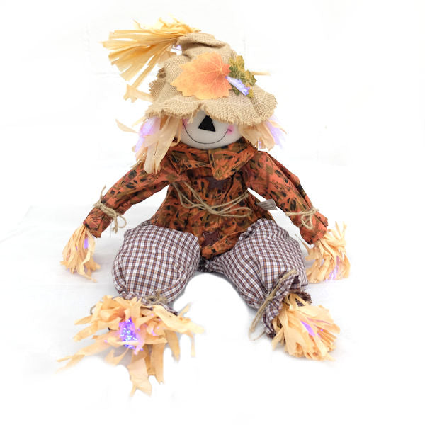 Timmy Fiber Optic Scarecrow -