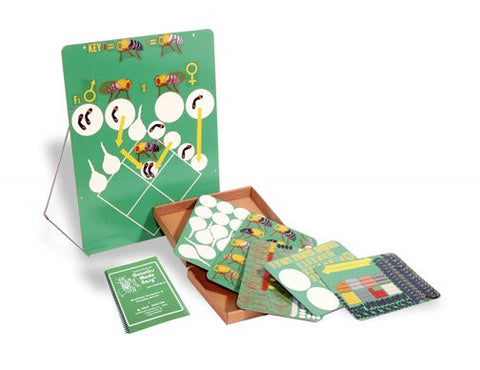 American Educational Products Teaching Genetics Made Easy Kit T-603 -