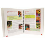 A Work of Heart: A Year of 1st Grade Art Lessons (Hardcover) -