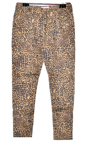Leopard