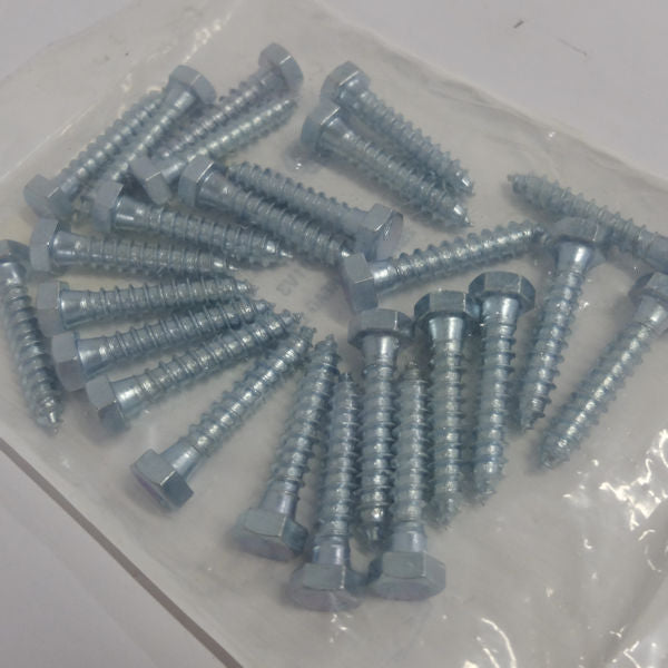 Endries International 3/8 x 2 Hex Head Lag Screw Zinc - 25 Pk -